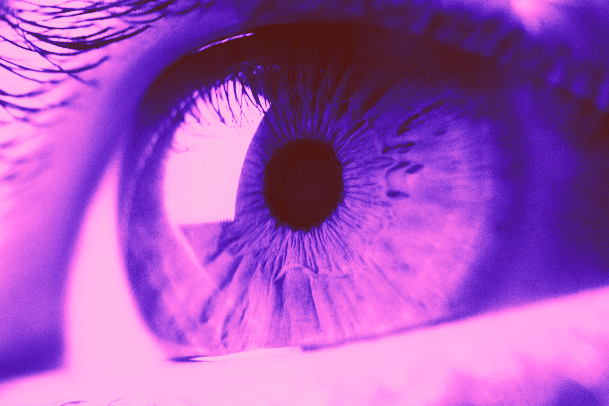 Whiteoaks | Brand Visibility