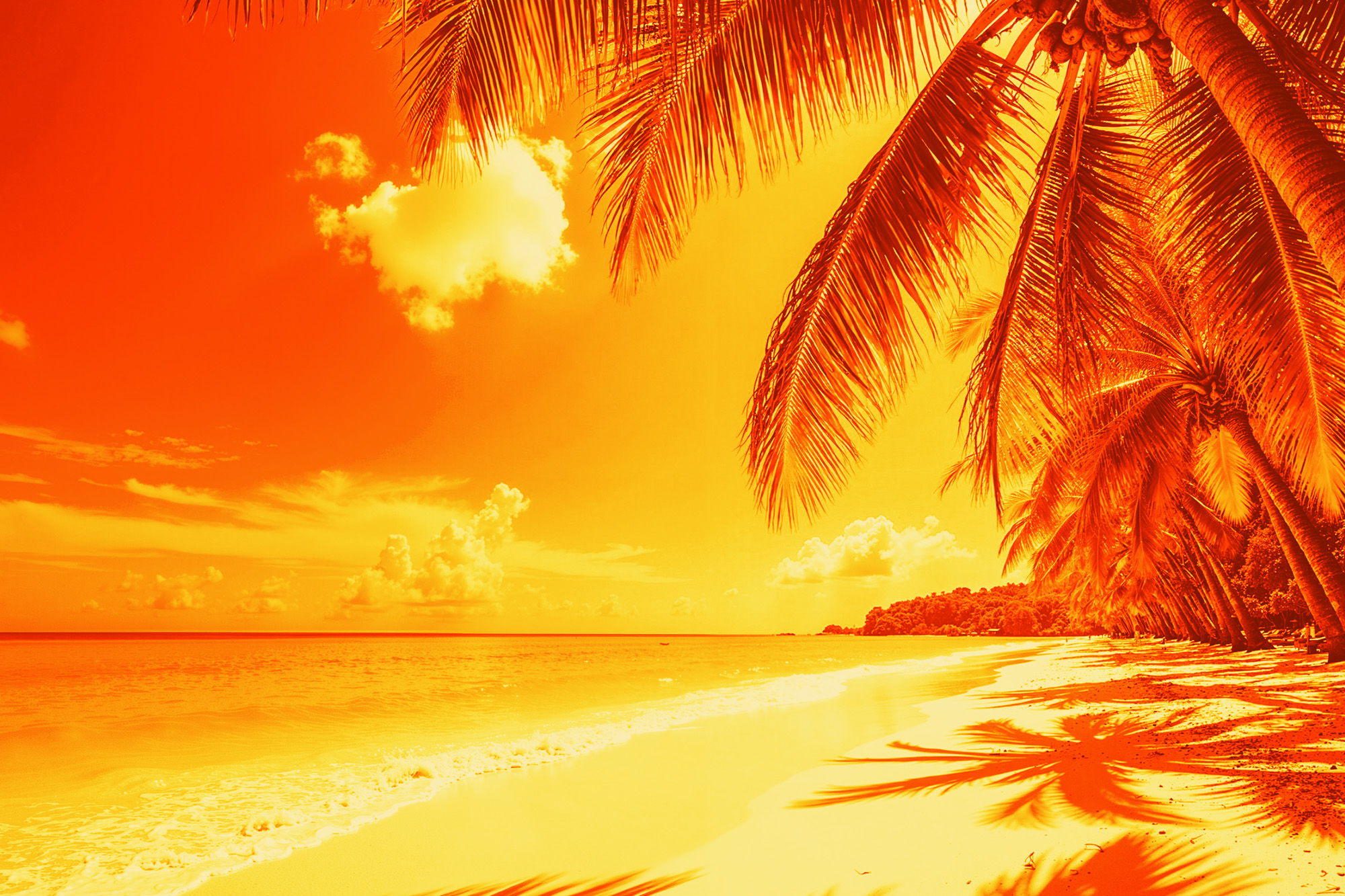 Summer beach