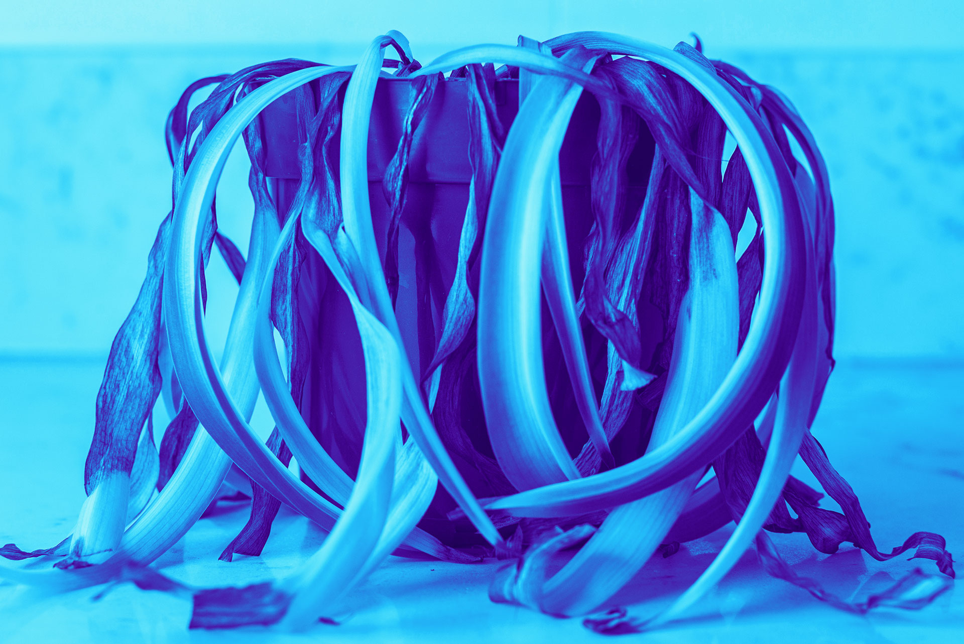 Stop your internal comms from becoming stale turkey sandwiches