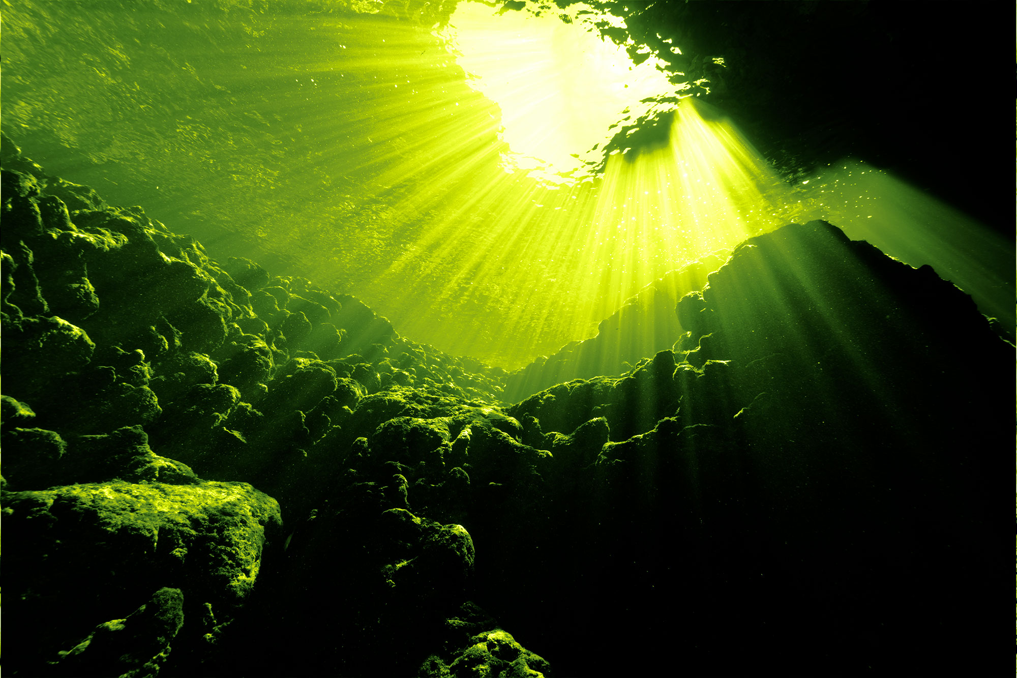 Rays of sunlight shining into sea, underwater view